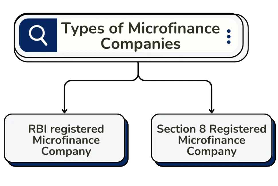Types of Microfinance Companies